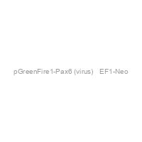 pGreenFire1-Pax6 (virus) + EF1-Neo